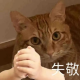1681176475352376.png image.png
